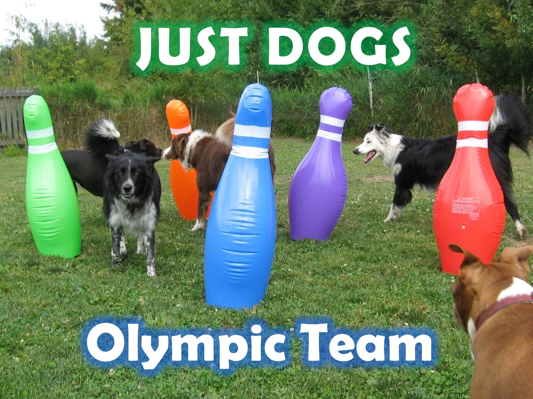 jd-olympic-team